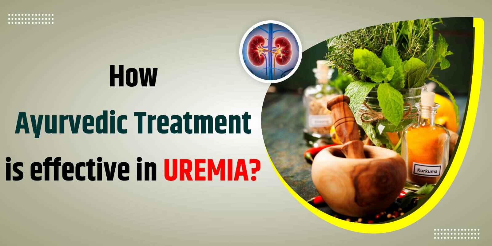 How Ayurvedic Treatment is effective in Uremia? - Senior Cat Uremia Treatment Options