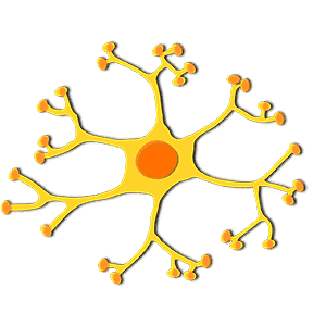Motor Neurone Disease Treatment